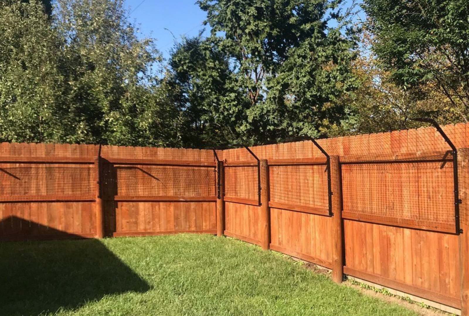 Preventing Dogs from Jumping Fences ALPINE Fencing